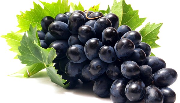 8 loại vỏ trái cây tốt cho sức khỏe. Vỏ trái nho đen.
